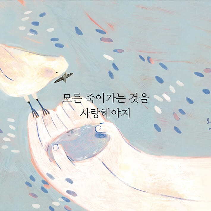 카드뉴스2