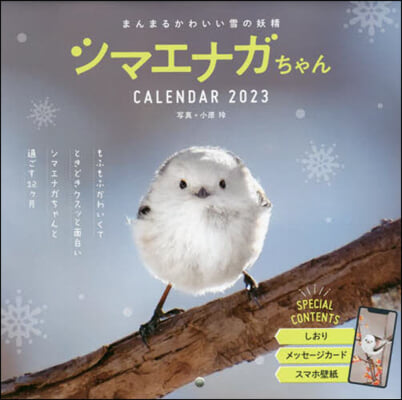 まんまるかわいい雪の妖精 シマエナガちゃん CALENDAR 2023 