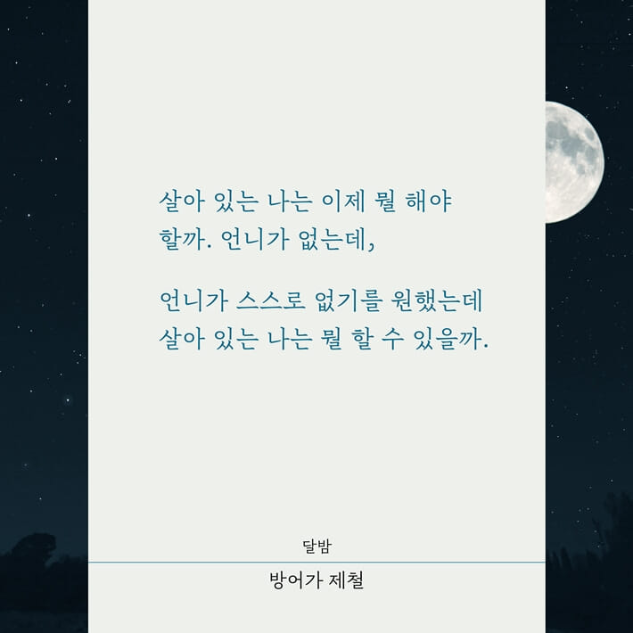 카드뉴스2