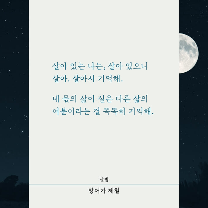 카드뉴스3
