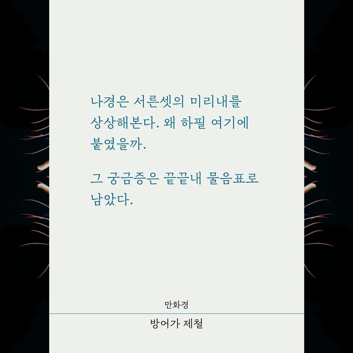 카드뉴스6