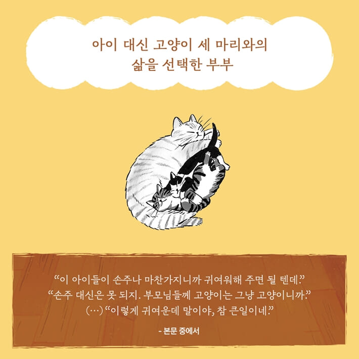 카드뉴스3