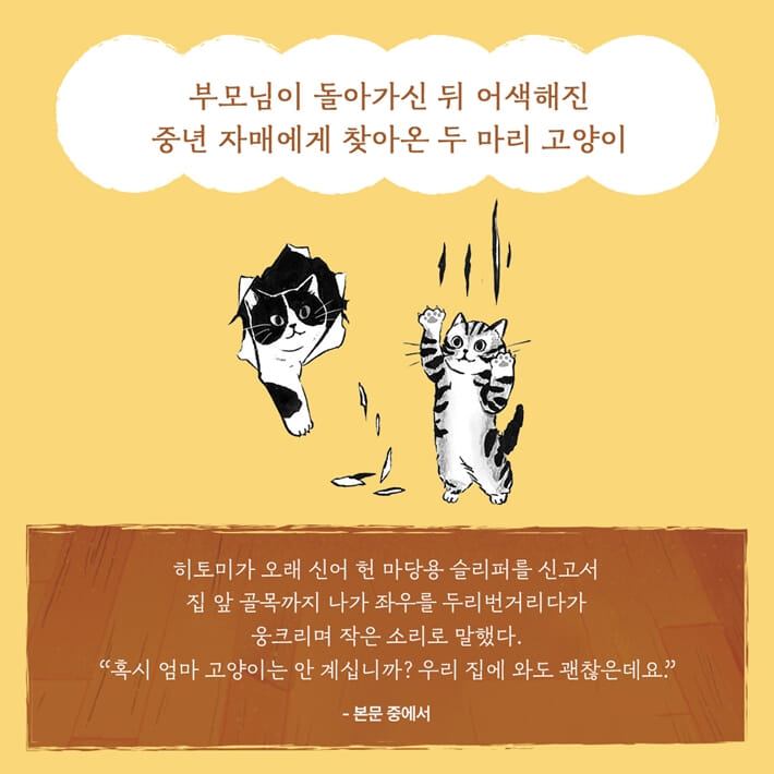 카드뉴스5