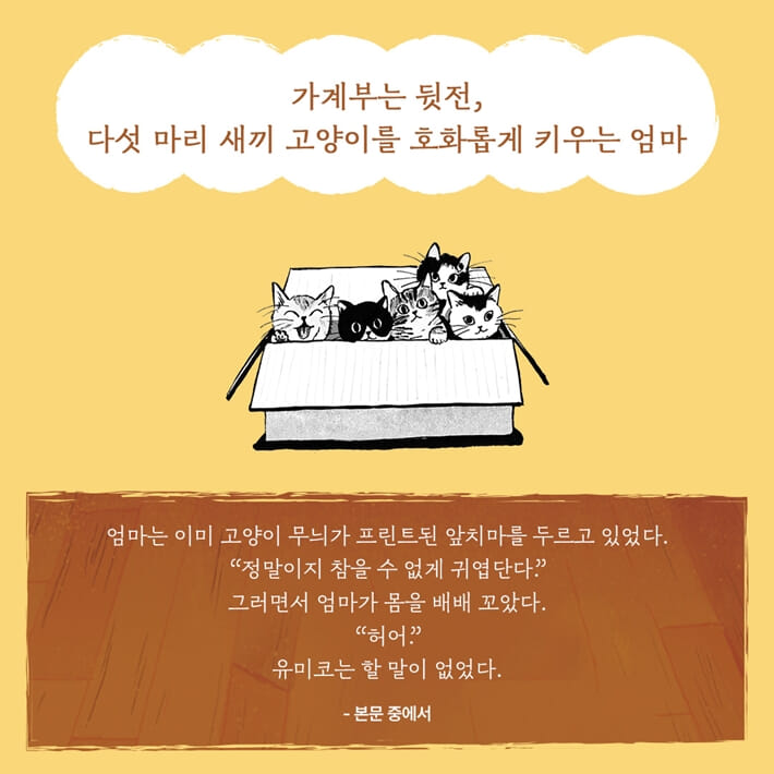 카드뉴스6