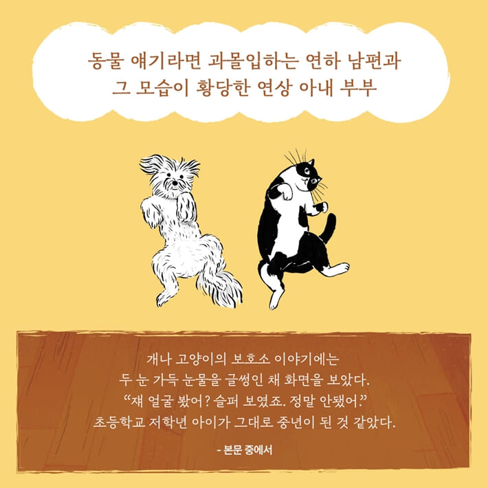 카드뉴스7