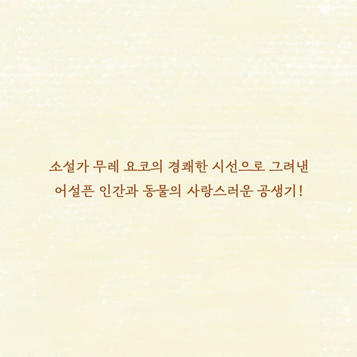카드뉴스8