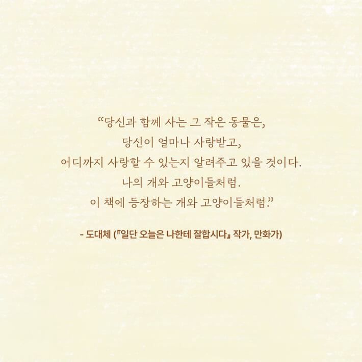 카드뉴스9