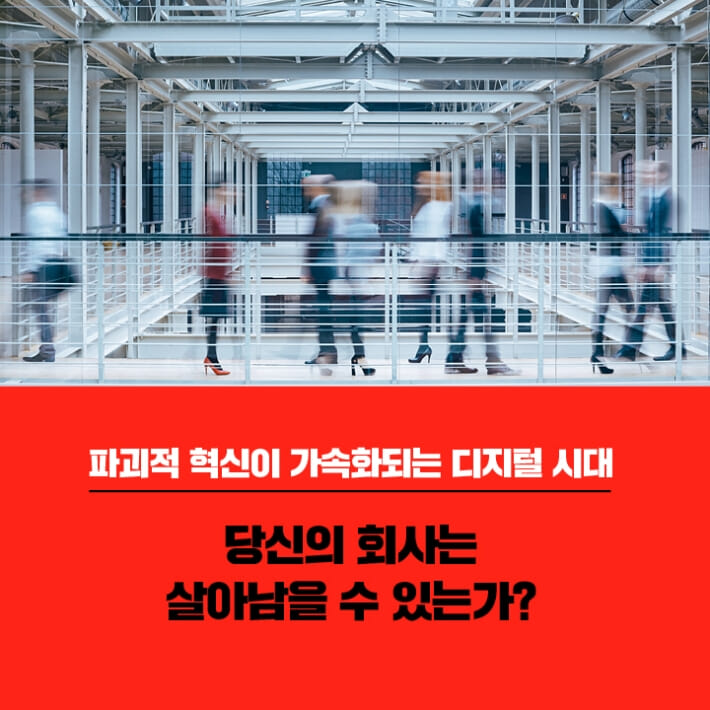 카드뉴스3