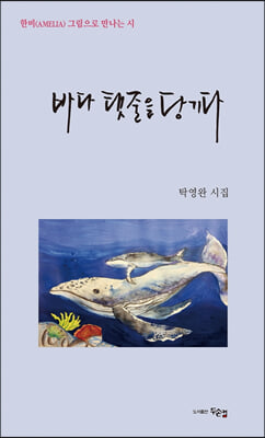 바다 탯줄을 당기다