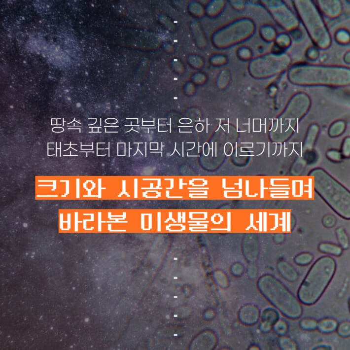 카드뉴스3