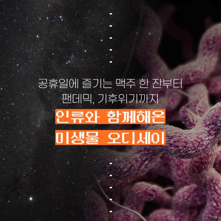 카드뉴스7