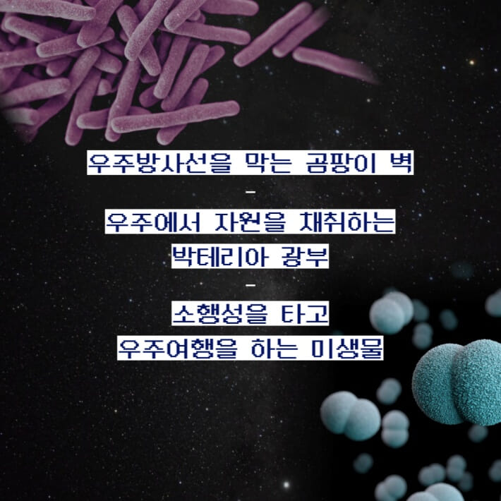 카드뉴스8