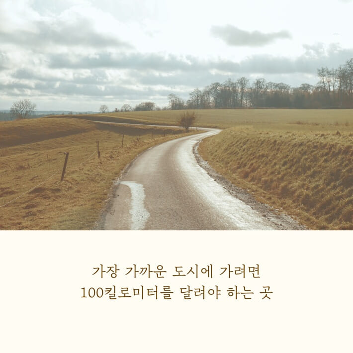 카드뉴스5