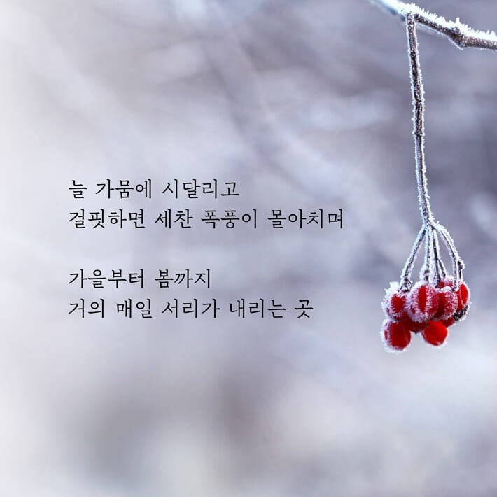 카드뉴스6