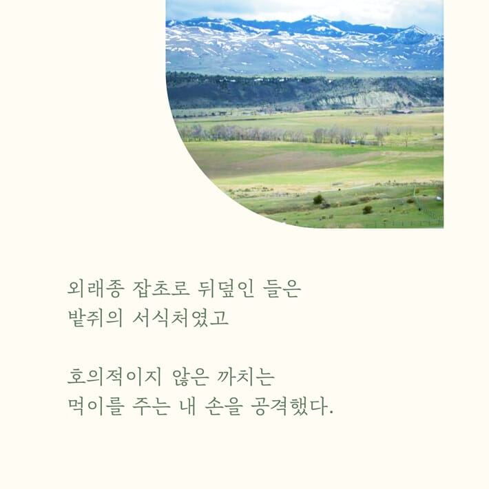 카드뉴스8
