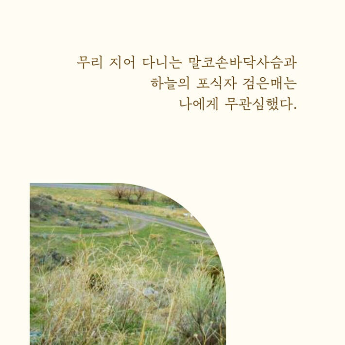 카드뉴스9