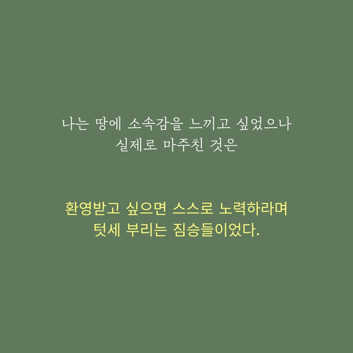 카드뉴스10