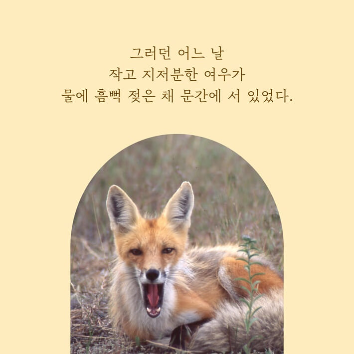 카드뉴스11