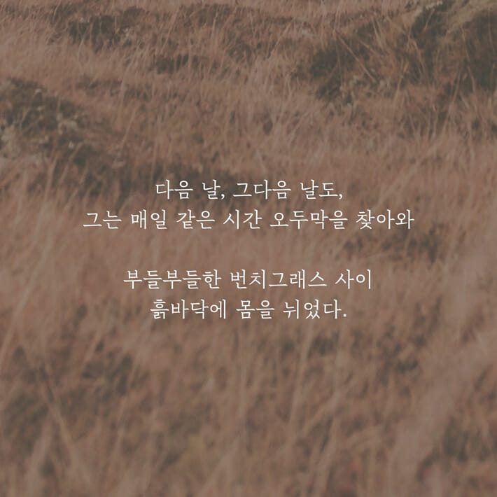 카드뉴스12