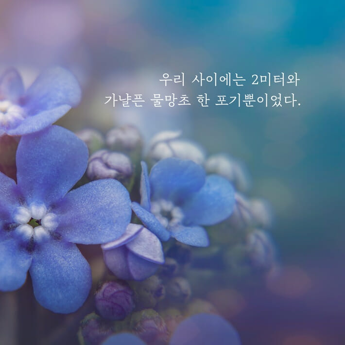카드뉴스13