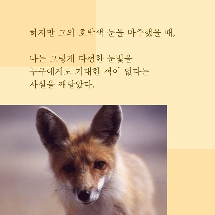 카드뉴스15