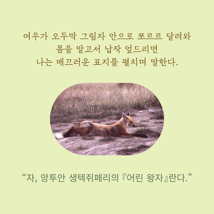 카드뉴스16