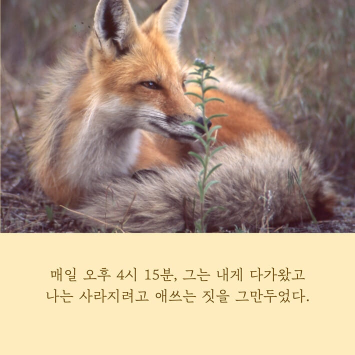 카드뉴스17