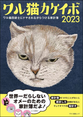 ワル猫カケイボ 2023