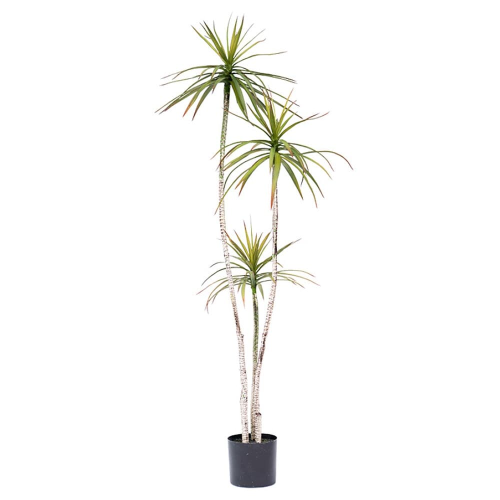 드라세나 마지나타 조화(180cm) 감성 인테리어 식물