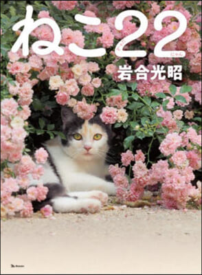 ねこ22