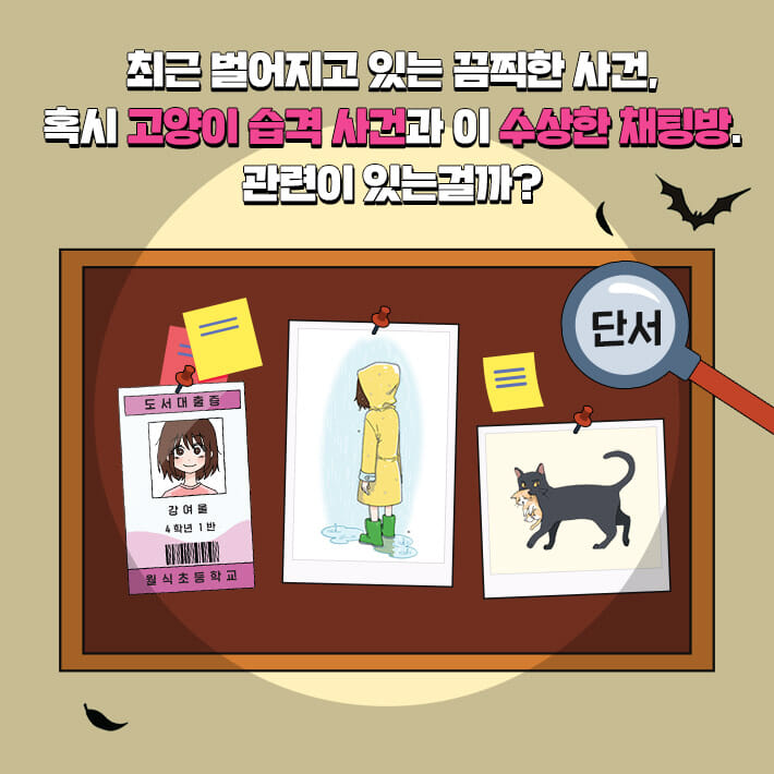 카드뉴스4