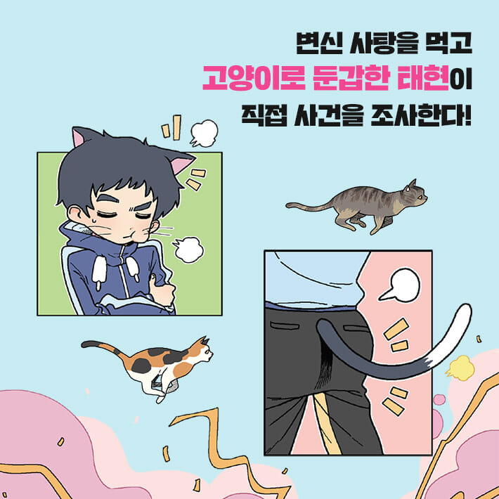 카드뉴스5