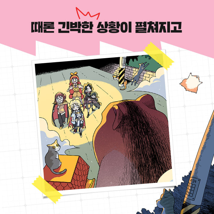 카드뉴스6