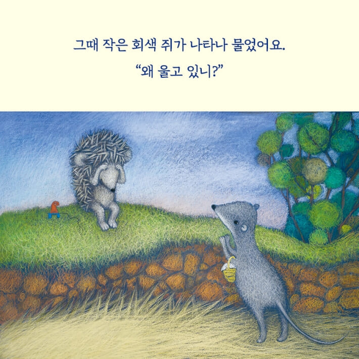 카드뉴스5
