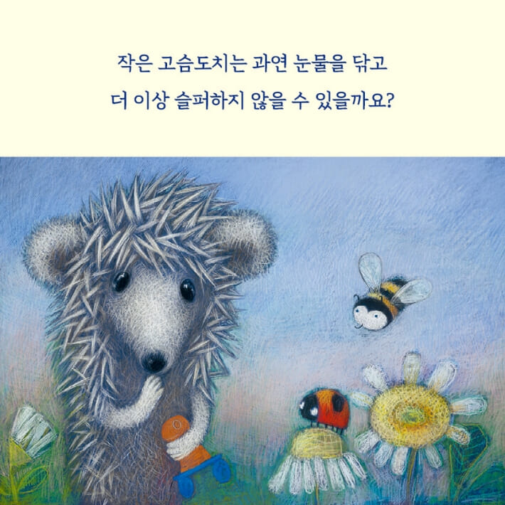 카드뉴스6