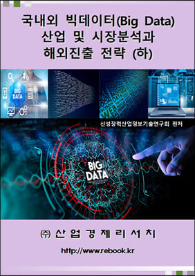 국내외 빅데이터(Big Data) 산업 및 시장분석과 해외진출 전략(하)