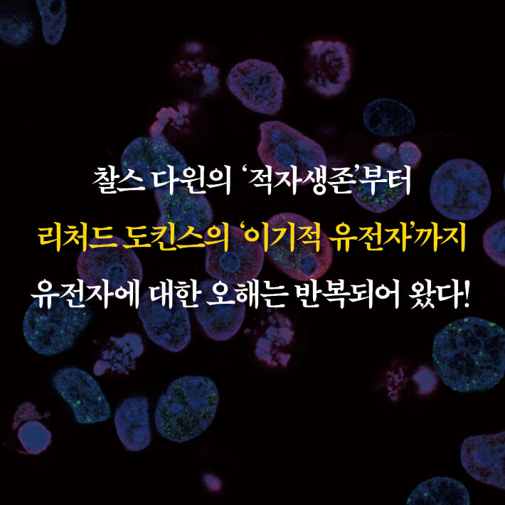 카드뉴스2