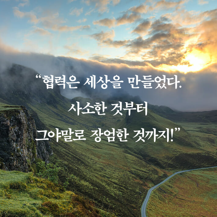 카드뉴스7