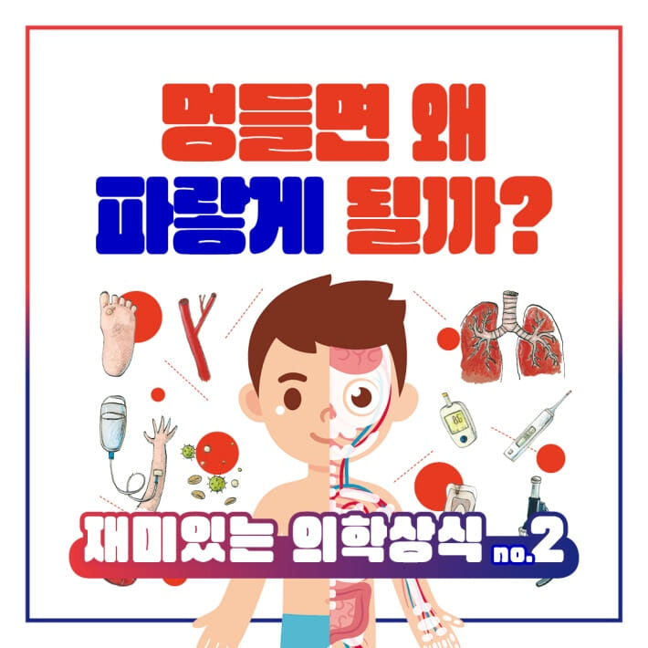 카드뉴스1