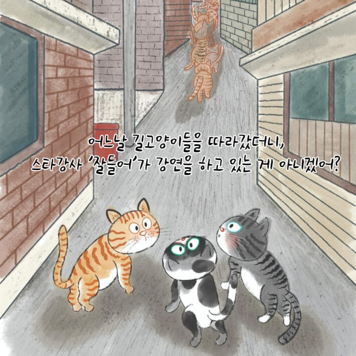 카드뉴스3