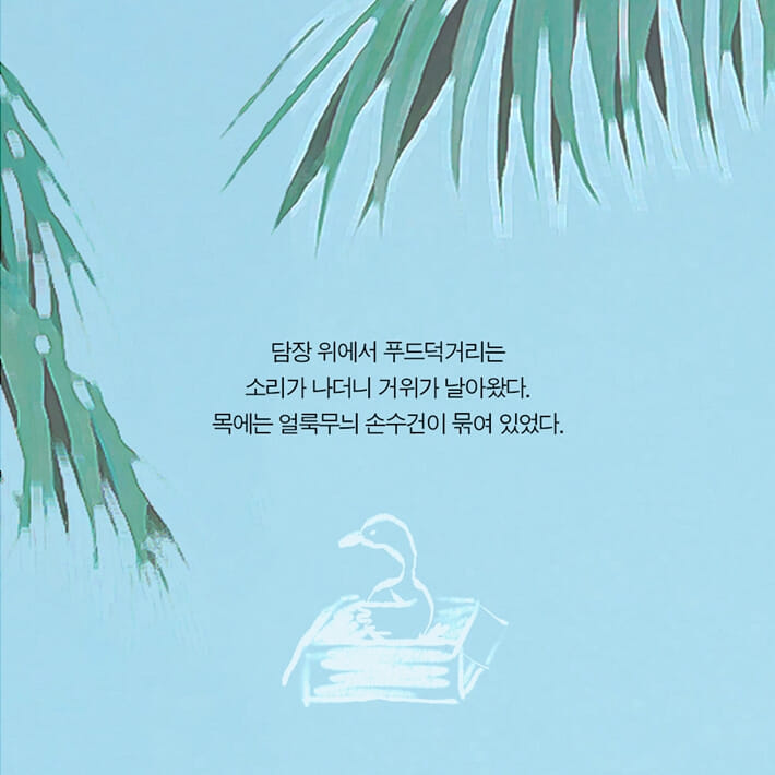 카드뉴스5