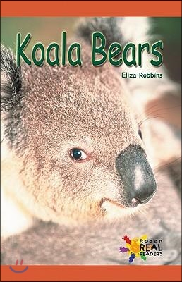 Rosen Real:Koala Bears