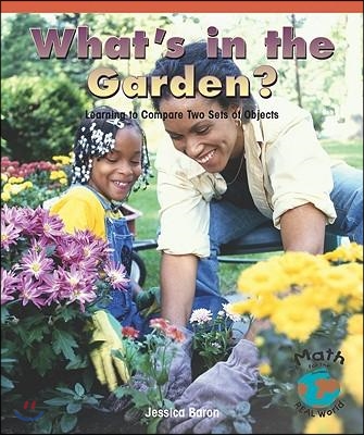 What&#39;s in the Garden?: Learning to Compare Two Sets of Objects