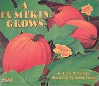 Mondo A Pumpkin Grows (Nf)