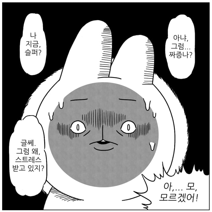 카드뉴스2