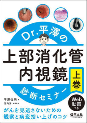 Dr.平澤の上部消化管內視鏡診斷セミ 上