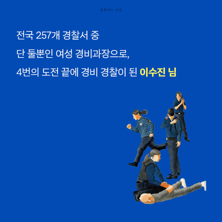 카드뉴스