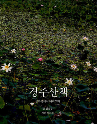 경주산책 - 삼화령에서 내려오다