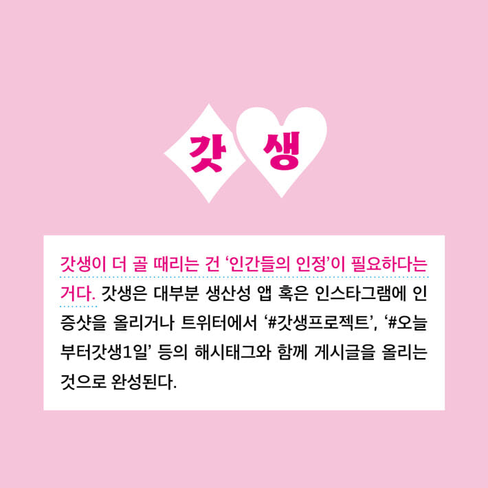 카드뉴스5