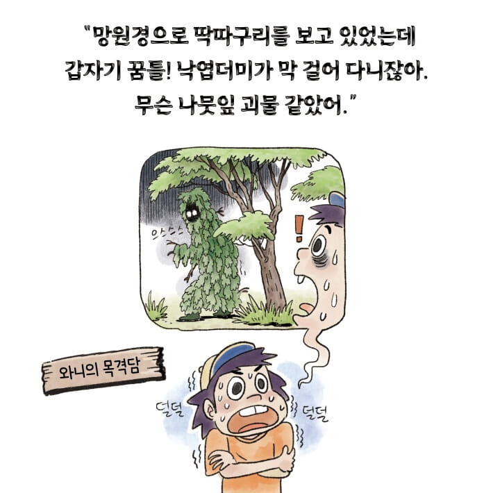 카드뉴스2